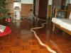 December 2008 003.jpg